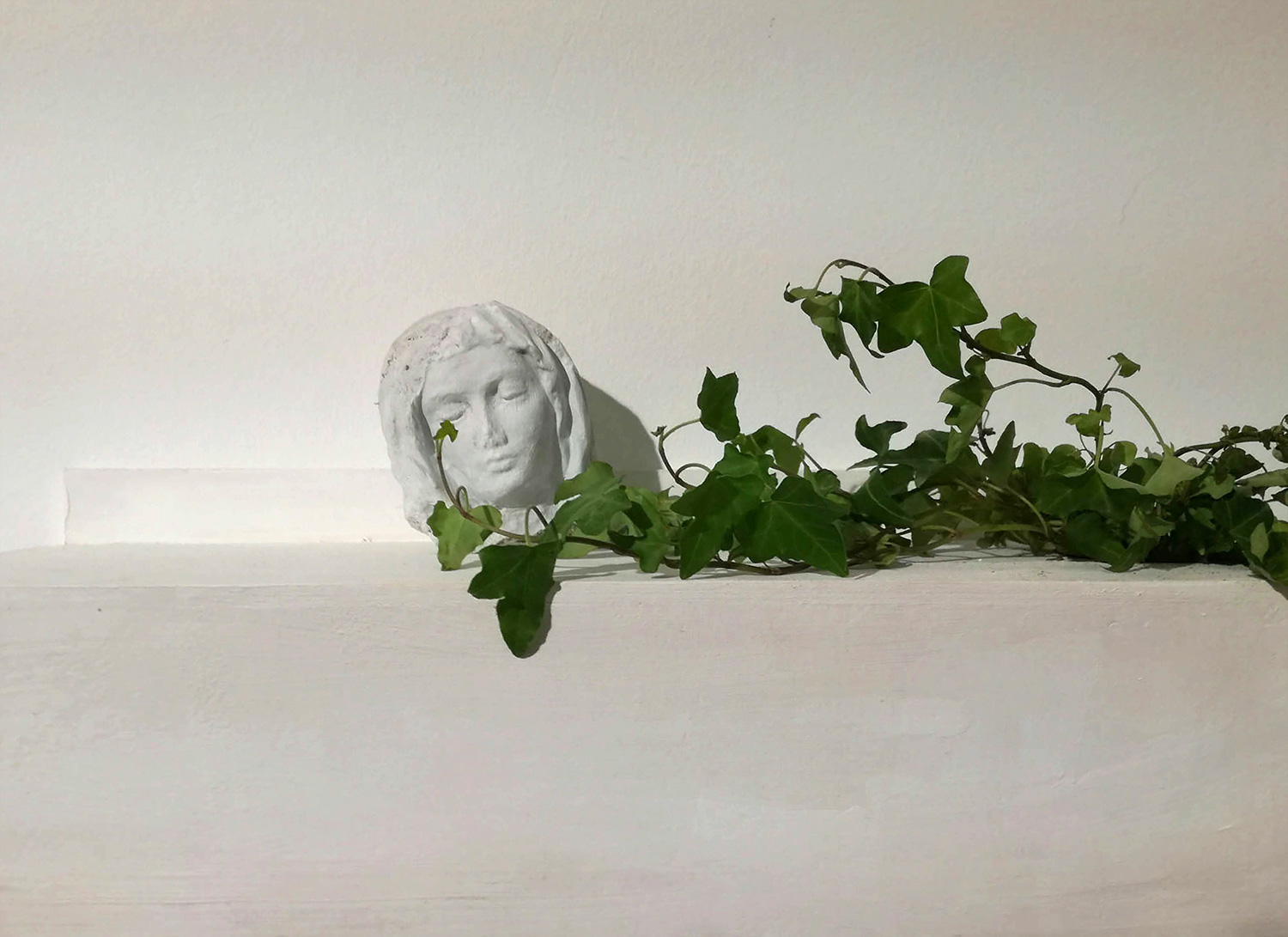 Guillermina De Gennaro, Inglobe, plaster sculpture, ivy, wood, 45x20x15cm. 2017.